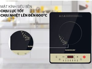 bep-dien-tu-co-sunhouse-shd6148-5_6a1a3d8042e54067856919cebf87006c.jpg
