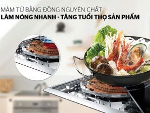 bep-dien-tu-co-sunhouse-shd6148-6_89cdd01a4e254187be47d789b96ee724.jpg