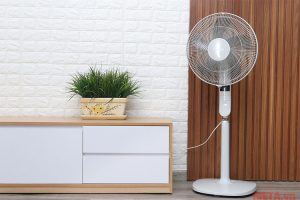 quat-dung-toshiba-f-lsa20-h-vn-anh3_5c51a652da3b4d3194fb2b7754ab3de4.jpg
