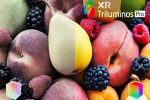 google-oled-sony-4k-48-inch-xr-48a90k-190422-034638_d40aa78658dc4930b82aa88506fe3636.jpg